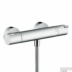 Hansgrohe Ecostat 1001cl Douchethermostaat Chroom