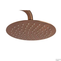 Opbouw Regendouche Set Boss & Wessing Colorato Thermostatisch Hoofddouche 20 Cm Rond Geborsteld Koper -Hansgrohe Badkamerinterieur Winkel cre0951 sfeer