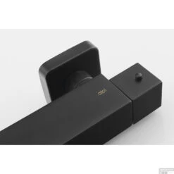 Opbouw Douchekraan Thermostatisch Sapho Dimy 2-knop Mat Zwart 8 Opbouw Douchekraan Thermostatisch Sapho Dimy 2-knop Mat Zwart -Hansgrohe Badkamerinterieur Winkel dm245bl opbouw douchekraan thermostatisch sapho dimy 2 knop mat zwart 2