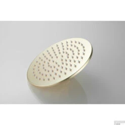 Hoofddouche Boss & Wessing Vision Rond 20 Cm Mat Goud -Hansgrohe Badkamerinterieur Winkel hoofddouche boss wessing vision rond 20 cm goud 2