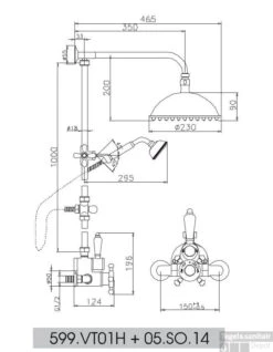 Huber Victorian Thermostatische Doucheset RVS 599VT01HNS