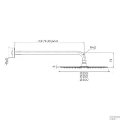 Hoofddoucheset Superslim Lagoo Nesso Met Hoofddouche 30 Cm En Wandarm 45 Cm RVS Chroom -Hansgrohe Badkamerinterieur Winkel n5202 tech