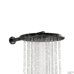 Regendouchekop Salenzi Marble 25cm Black Marble OP=OP -Hansgrohe Badkamerinterieur Winkel regendouchekop salenzi marble 25cm black marble shop