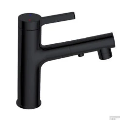 Wastafelmengkraan Best Design Asproli Met Uittrekbare Sproeiuitloop Mat Zwart